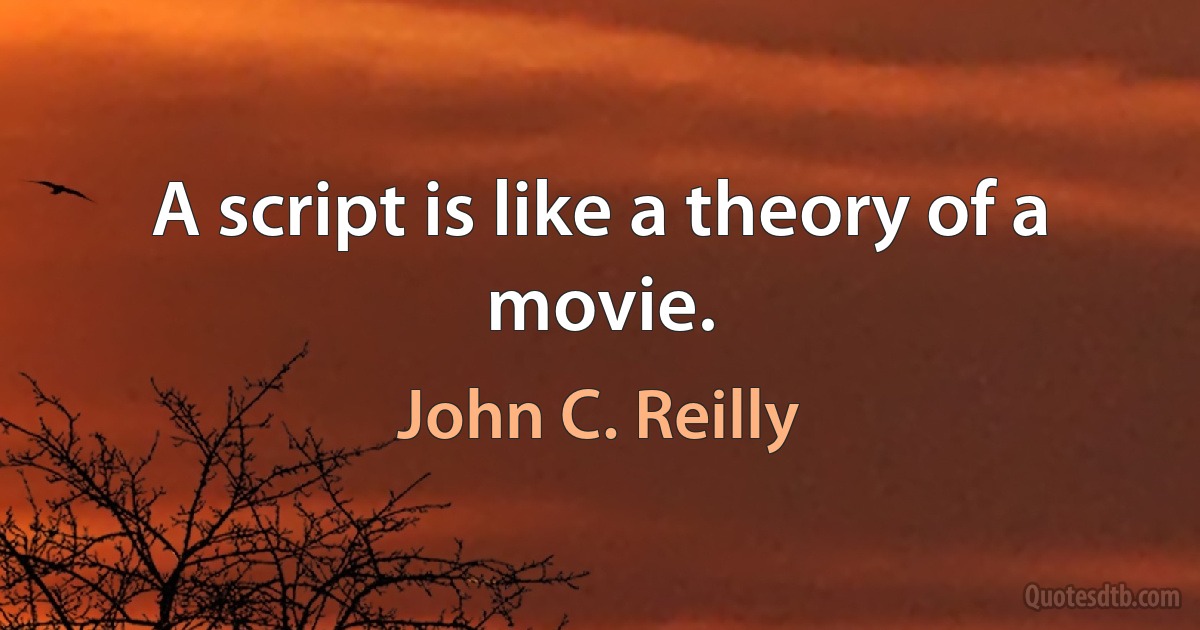 A script is like a theory of a movie. (John C. Reilly)