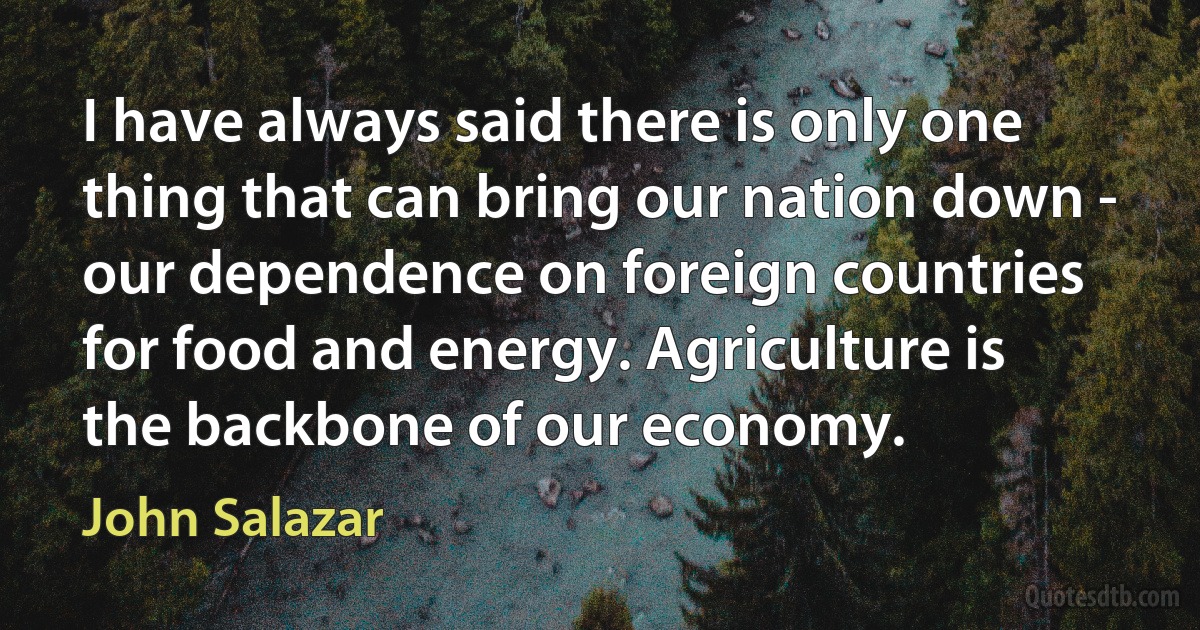 I have always said there is only one thing that can bring our nation down - our dependence on foreign countries for food and energy. Agriculture is the backbone of our economy. (John Salazar)