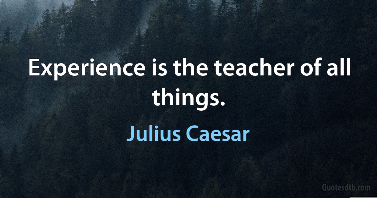 Experience is the teacher of all things. (Julius Caesar)