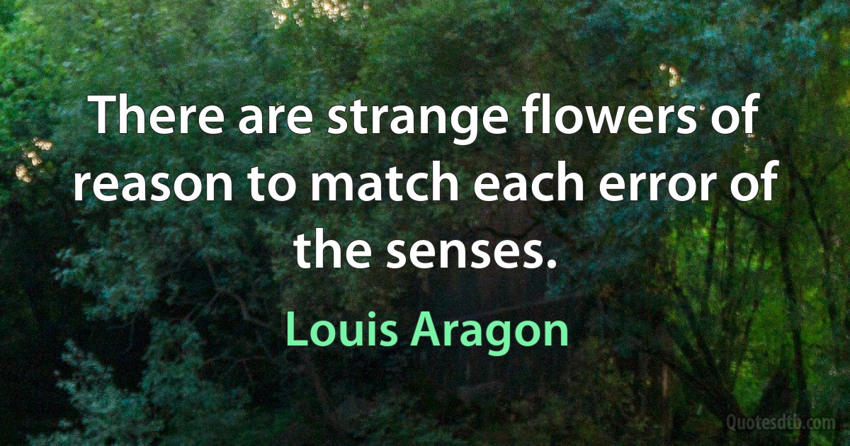 There are strange flowers of reason to match each error of the senses. (Louis Aragon)