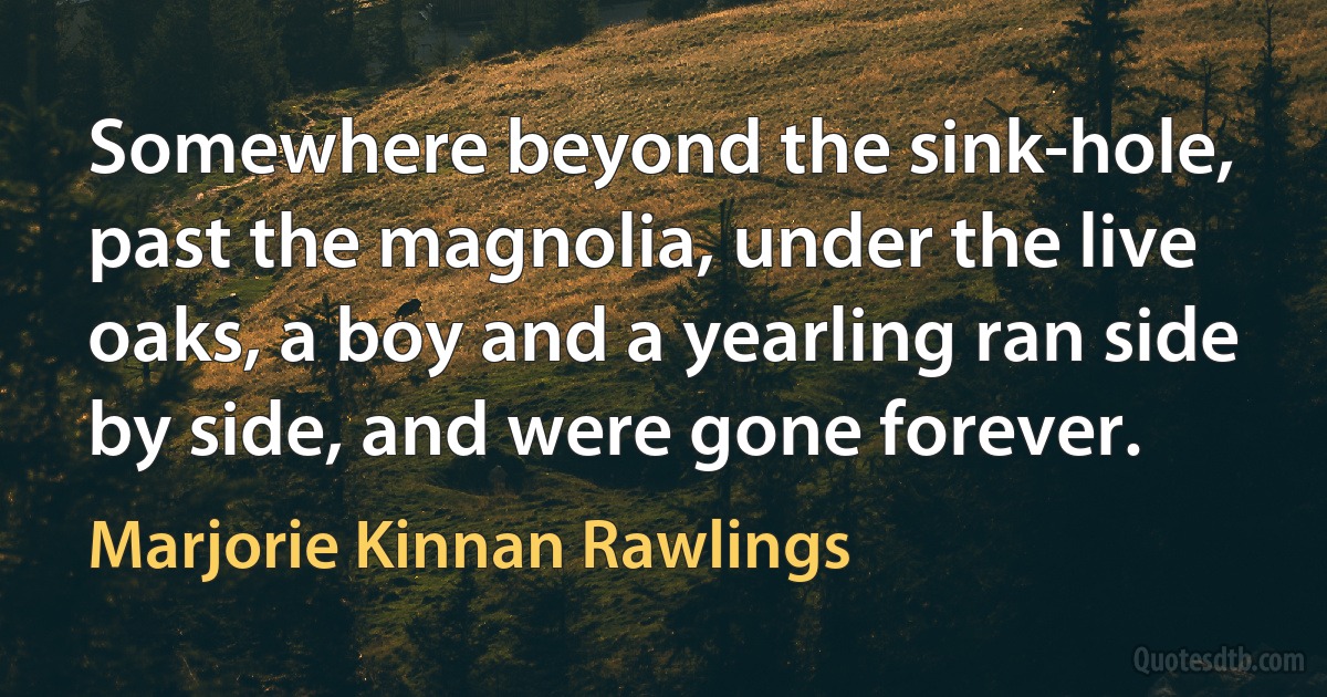 Somewhere beyond the sink-hole, past the magnolia, under the live oaks, a boy and a yearling ran side by side, and were gone forever. (Marjorie Kinnan Rawlings)