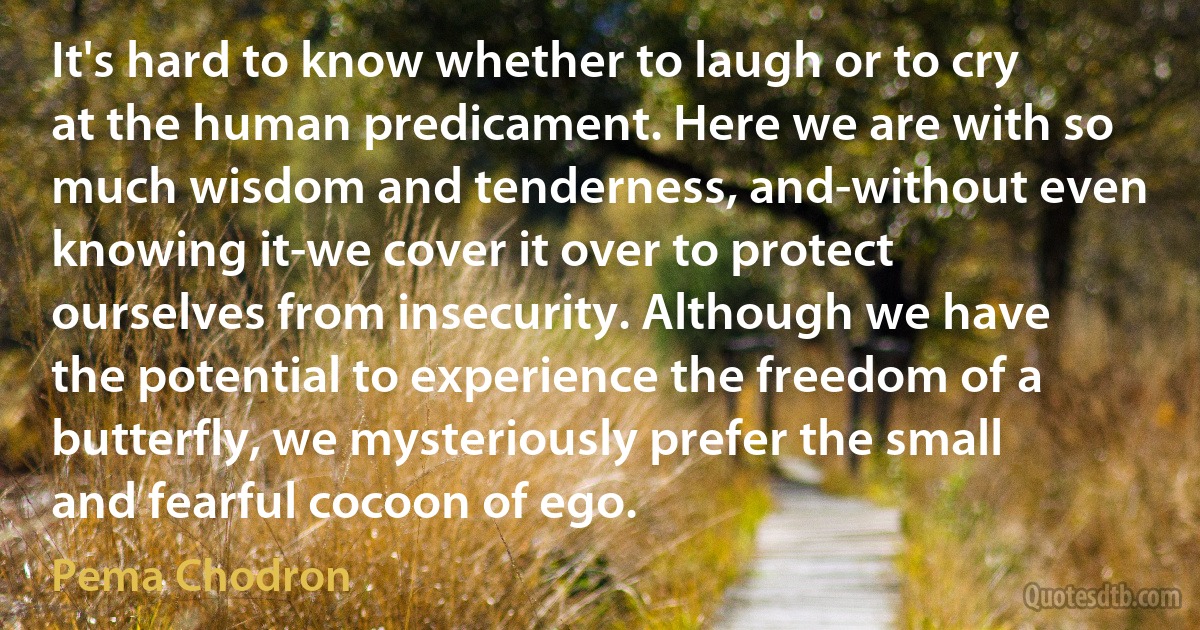 It's hard to know whether to laugh or to cry at the human predicament. Here we are with so much wisdom and tenderness, and-without even knowing it-we cover it over to protect ourselves from insecurity. Although we have the potential to experience the freedom of a butterfly, we mysteriously prefer the small and fearful cocoon of ego. (Pema Chodron)