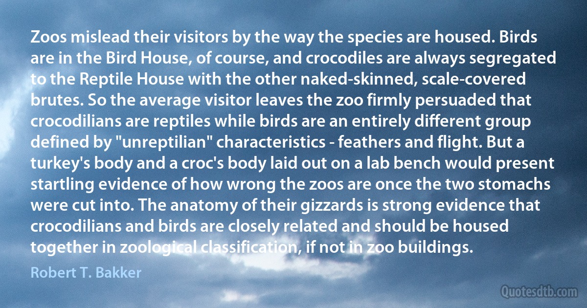 Zoos mislead their visitors by the way the species are housed. Birds are in the Bird House, of course, and crocodiles are always segregated to the Reptile House with the other naked-skinned, scale-covered brutes. So the average visitor leaves the zoo firmly persuaded that crocodilians are reptiles while birds are an entirely different group defined by "unreptilian" characteristics - feathers and flight. But a turkey's body and a croc's body laid out on a lab bench would present startling evidence of how wrong the zoos are once the two stomachs were cut into. The anatomy of their gizzards is strong evidence that crocodilians and birds are closely related and should be housed together in zoological classification, if not in zoo buildings. (Robert T. Bakker)