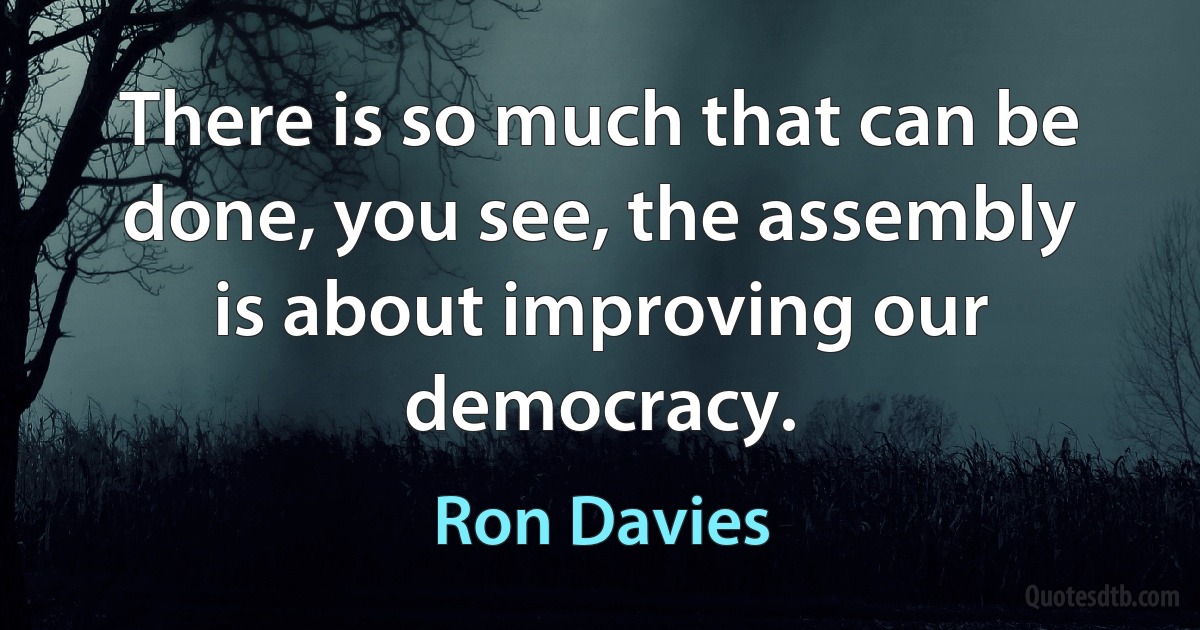 There is so much that can be done, you see, the assembly is about improving our democracy. (Ron Davies)