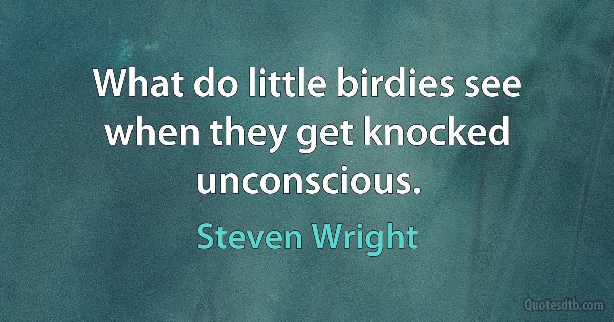 What do little birdies see when they get knocked unconscious. (Steven Wright)