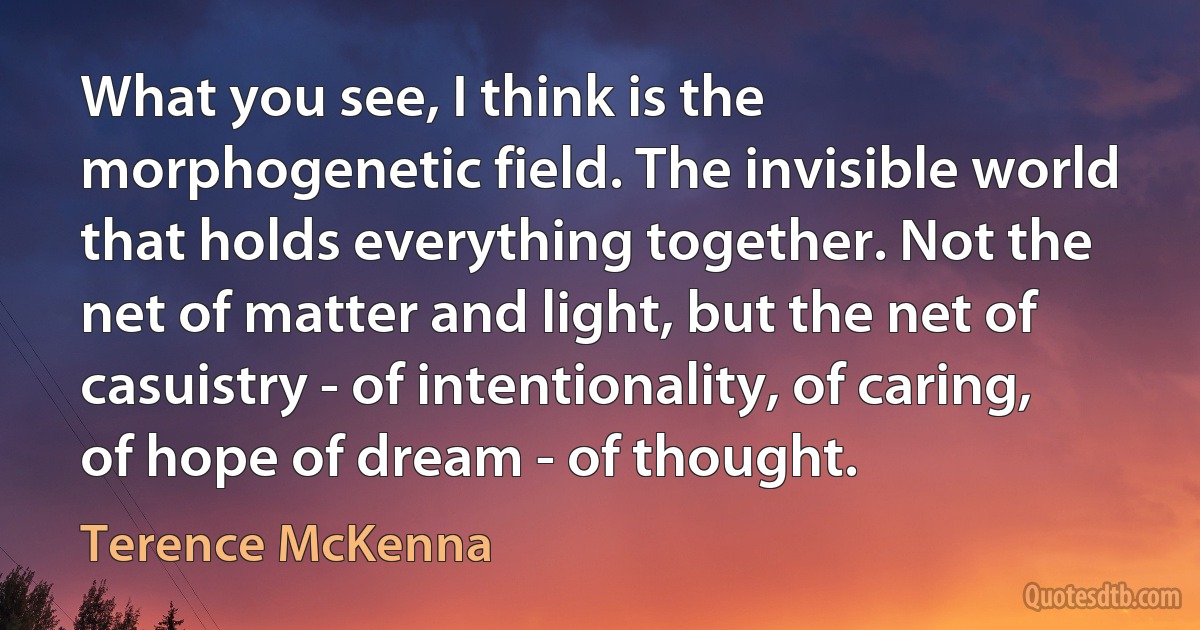 What you see, I think is the morphogenetic field. The invisible world that holds everything together. Not the net of matter and light, but the net of casuistry - of intentionality, of caring, of hope of dream - of thought. (Terence McKenna)