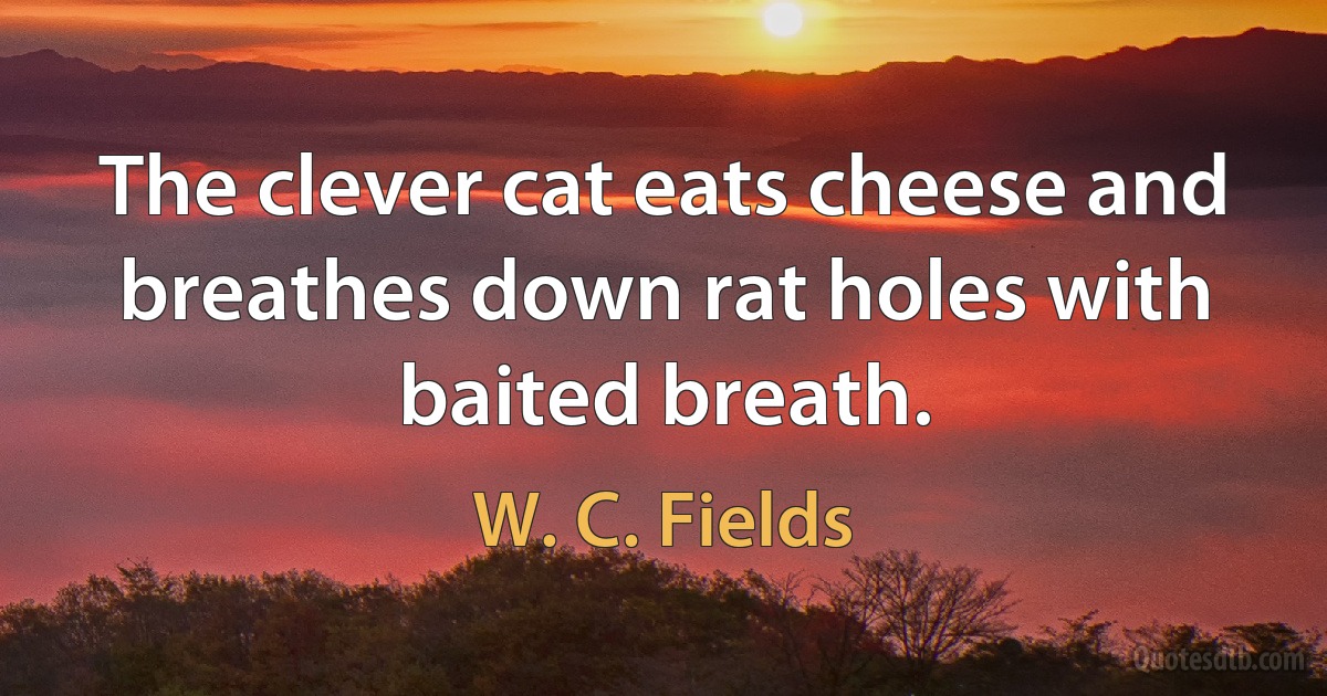 The clever cat eats cheese and breathes down rat holes with baited breath. (W. C. Fields)