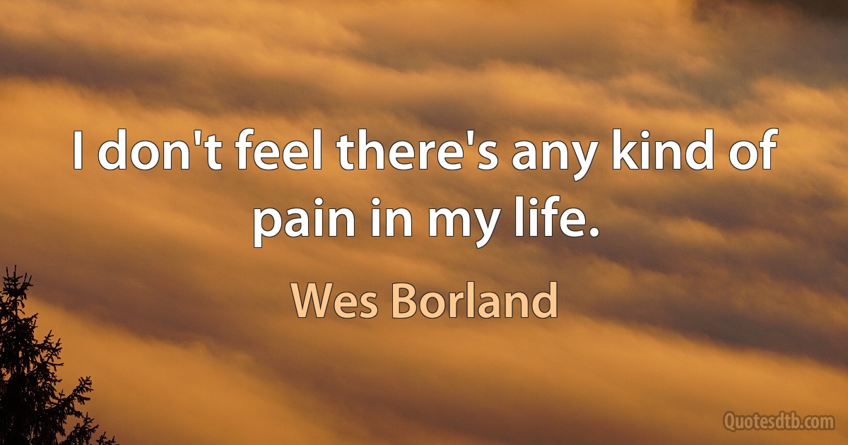 I don't feel there's any kind of pain in my life. (Wes Borland)