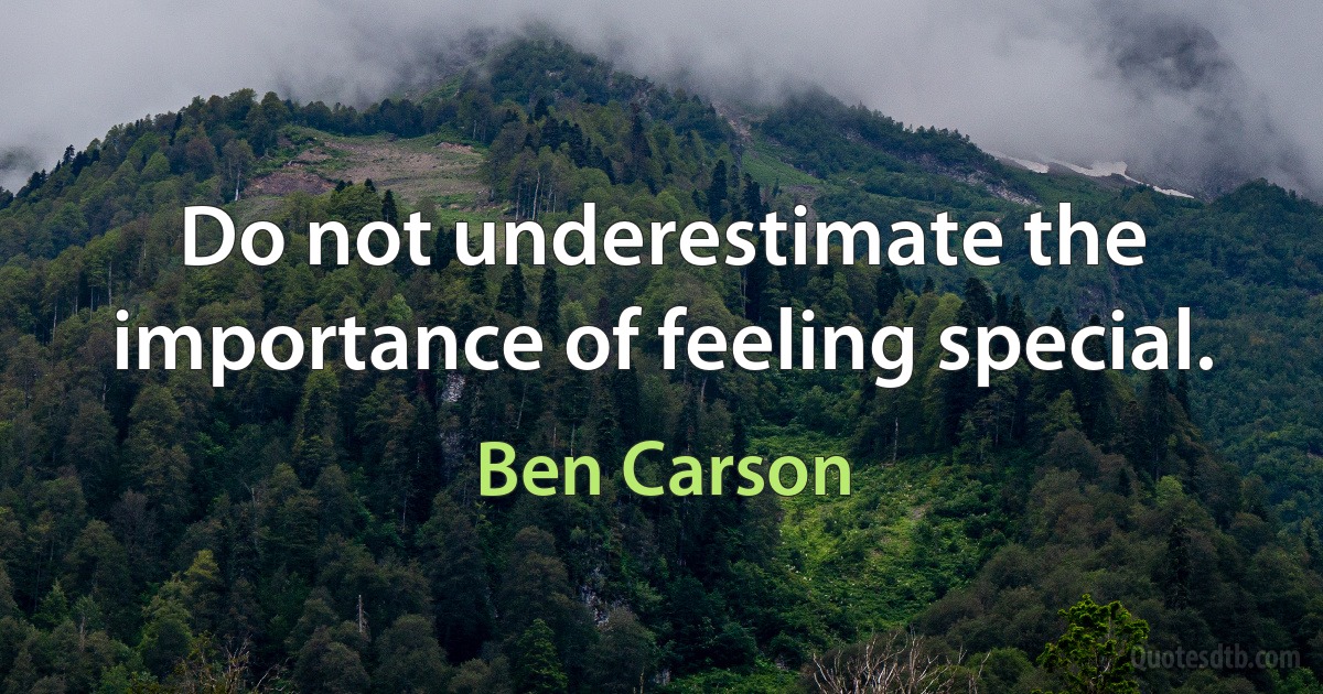 Do not underestimate the importance of feeling special. (Ben Carson)