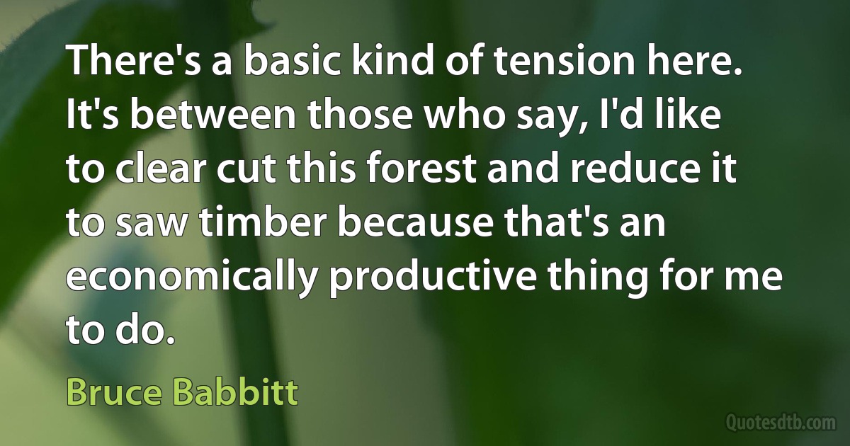 There's a basic kind of tension here. It's between those who say, I'd like to clear cut this forest and reduce it to saw timber because that's an economically productive thing for me to do. (Bruce Babbitt)