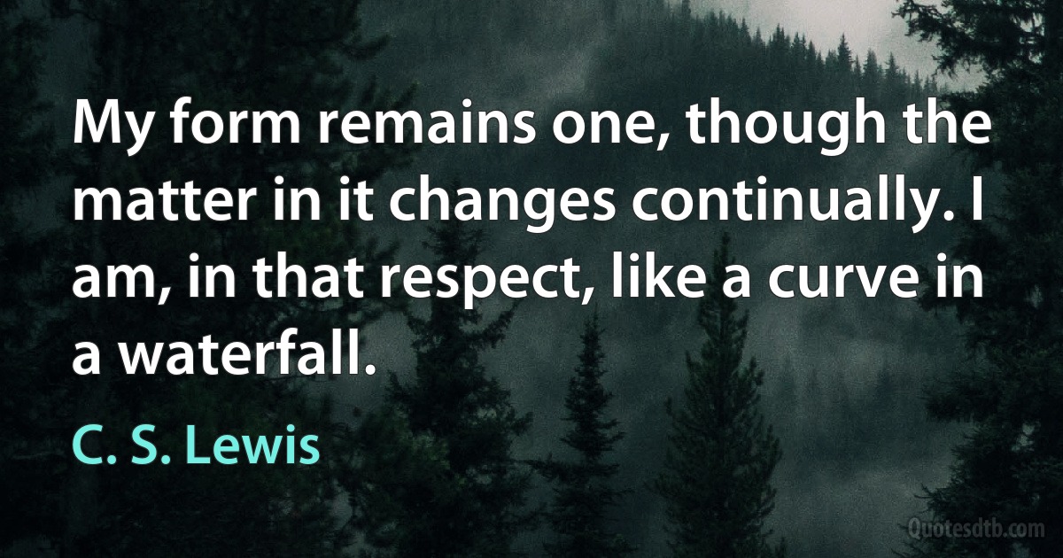 My form remains one, though the matter in it changes continually. I am, in that respect, like a curve in a waterfall. (C. S. Lewis)