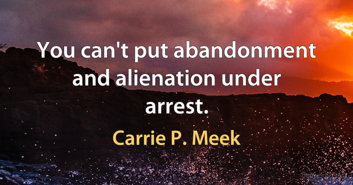 You can't put abandonment and alienation under arrest. (Carrie P. Meek)