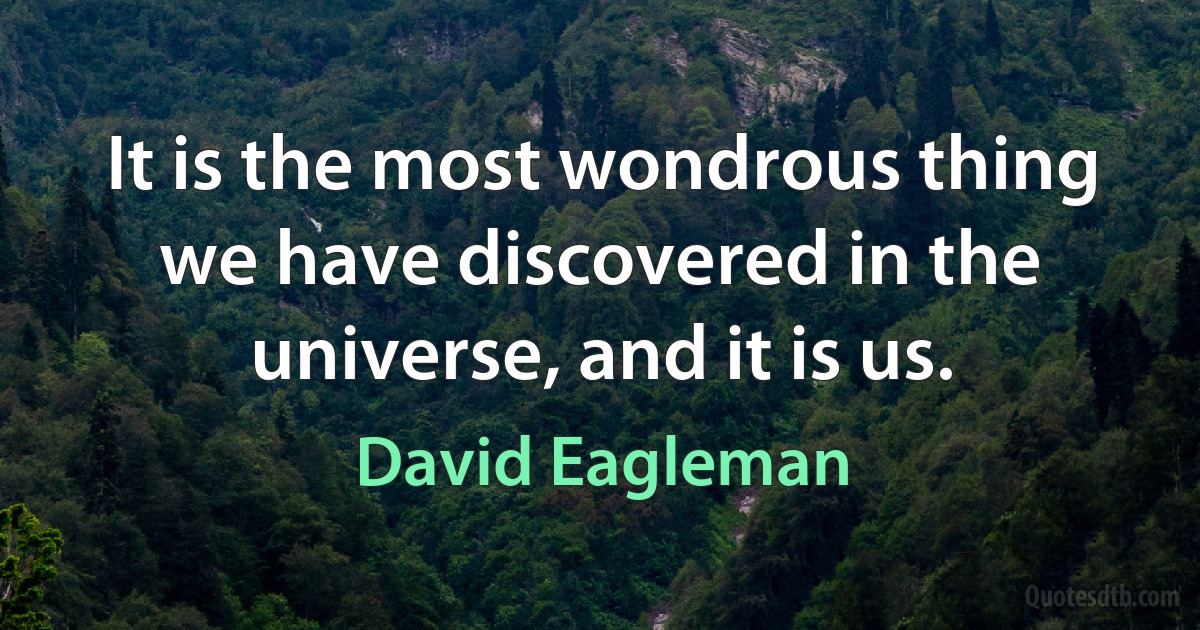 It is the most wondrous thing we have discovered in the universe, and it is us. (David Eagleman)