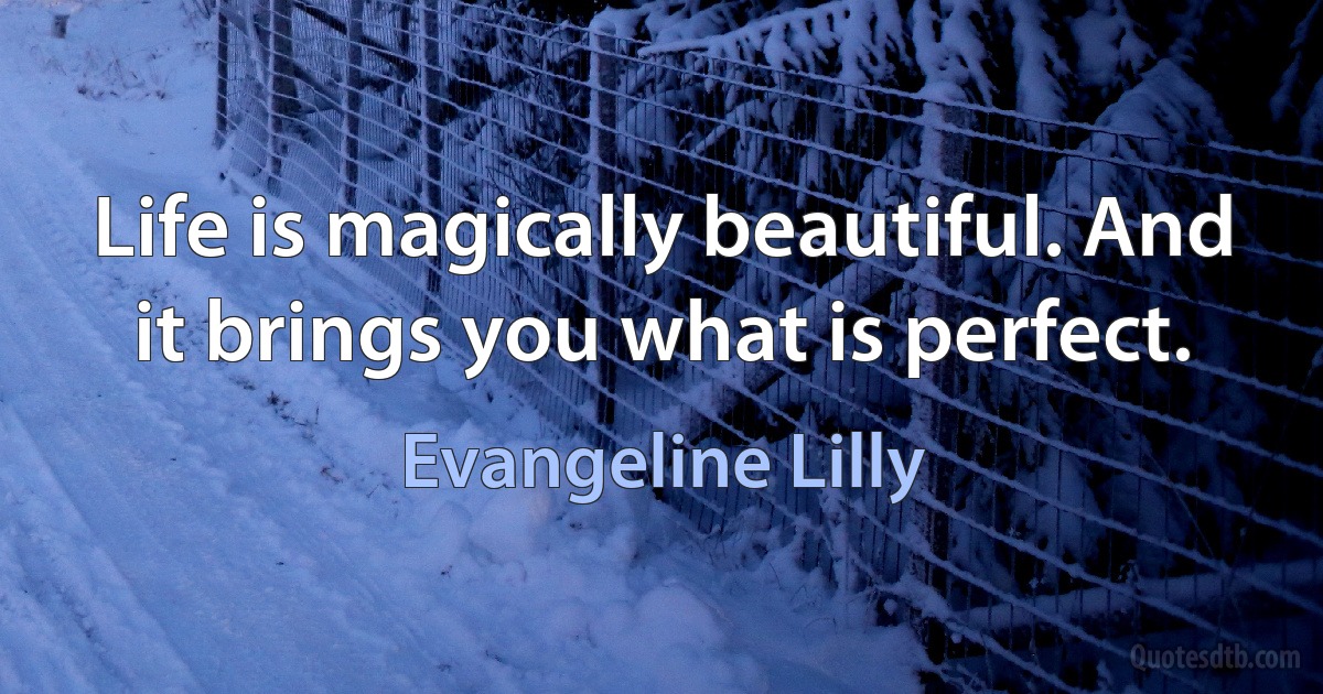 Life is magically beautiful. And it brings you what is perfect. (Evangeline Lilly)