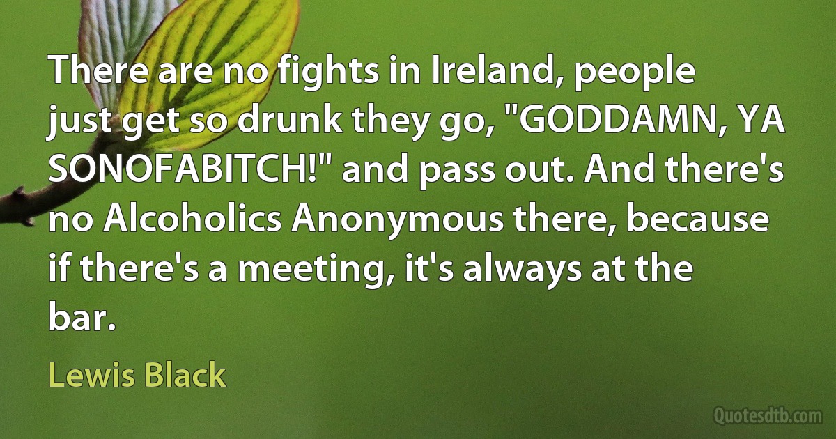 There are no fights in Ireland, people just get so drunk they go, "GODDAMN, YA SONOFABITCH!" and pass out. And there's no Alcoholics Anonymous there, because if there's a meeting, it's always at the bar. (Lewis Black)