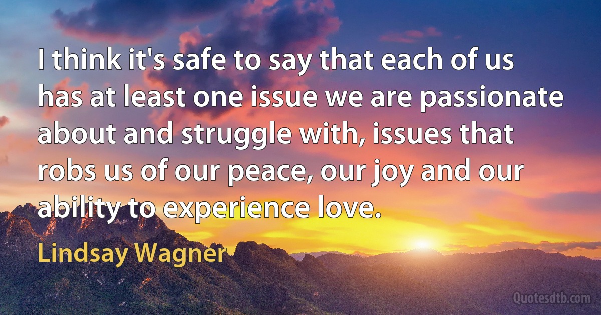 I think it's safe to say that each of us has at least one issue we are passionate about and struggle with, issues that robs us of our peace, our joy and our ability to experience love. (Lindsay Wagner)