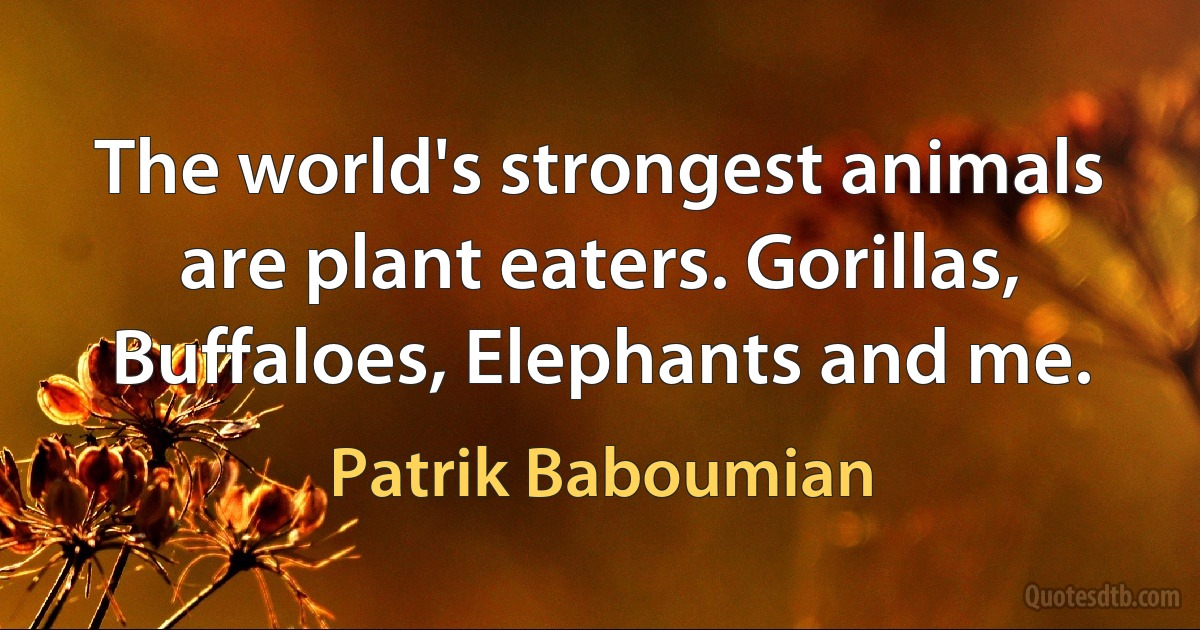 The world's strongest animals are plant eaters. Gorillas, Buffaloes, Elephants and me. (Patrik Baboumian)