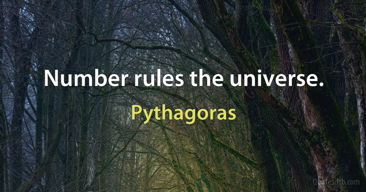 Number rules the universe. (Pythagoras)