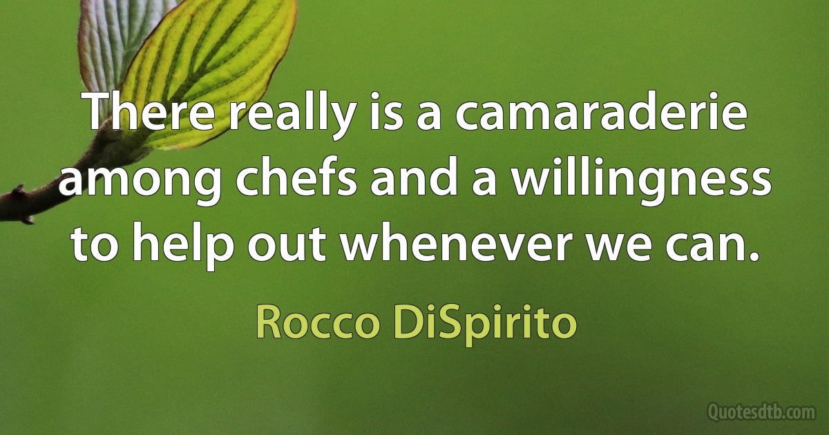 There really is a camaraderie among chefs and a willingness to help out whenever we can. (Rocco DiSpirito)