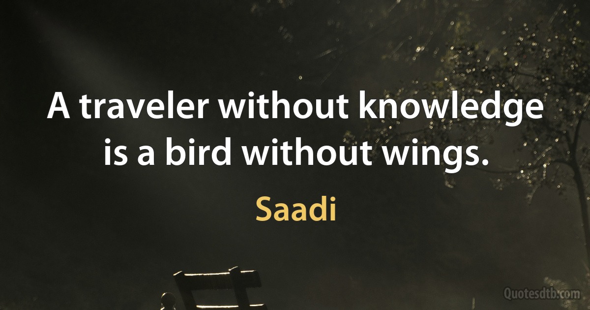 A traveler without knowledge is a bird without wings. (Saadi)