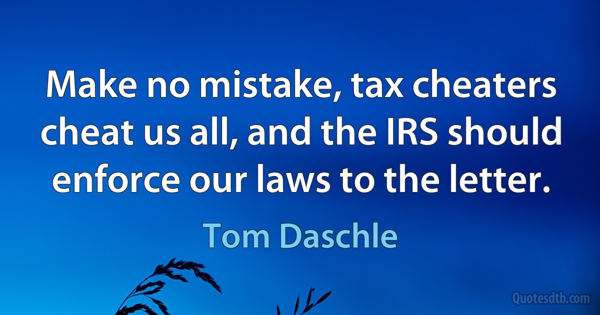 Make no mistake, tax cheaters cheat us all, and the IRS should enforce our laws to the letter. (Tom Daschle)